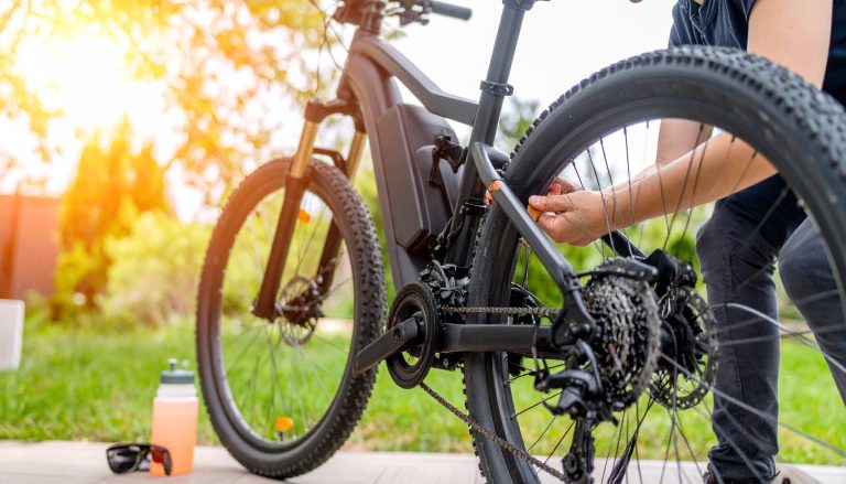 Seasonal eBike Car